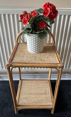 Vintage cane bamboo - cane,
